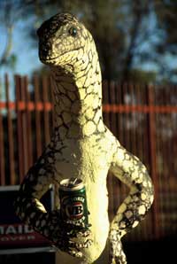 Caught drinking at the Aileron Roadhouse, Central Australia